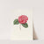Iconographie du genre Camellia Pl.045 by Lorenzo Berlèse