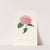Iconographie du genre Camellia Pl.050 by Lorenzo Berlèse