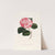 Iconographie du genre Camellia Pl.054 by Lorenzo Berlèse