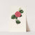 Iconographie du genre Camellia Pl.057 by Lorenzo Berlèse