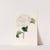 Iconographie du genre Camellia Pl.063 by Lorenzo Berlèse