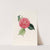 Iconographie du genre Camellia Pl.077 by Lorenzo Berlèse