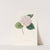 Iconographie du genre Camellia Pl.078 by Lorenzo Berlèse