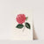 Iconographie du genre Camellia Pl.080 by Lorenzo Berlèse