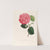 Iconographie du genre Camellia Pl.096 by Lorenzo Berlèse