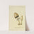 Icons fungorum circa Halifax sponte Nascentium Pl.007 by James Bolton