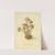 Icons fungorum circa Halifax sponte Nascentium Pl.012 by James Bolton