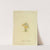 Icons fungorum circa Halifax sponte Nascentium Pl.019 by James Bolton