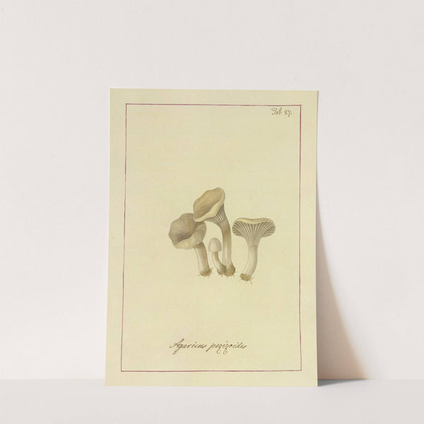 Icons fungorum circa Halifax sponte Nascentium Pl.024 by James Bolton