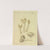 Icons fungorum circa Halifax sponte Nascentium Pl.029 by James Bolton