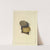 Icons fungorum circa Halifax sponte Nascentium Pl.058 by James Bolton