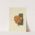 Icons fungorum circa Halifax sponte Nascentium Pl.060 by James Bolton