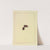 Icons fungorum circa Halifax sponte Nascentium Pl.084 by James Bolton