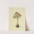 Icons fungorum circa Halifax sponte Nascentium Pl.096 by James Bolton
