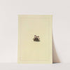 Icons fungorum circa Halifax sponte Nascentium Pl.098 by James Bolton