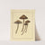 Icons fungorum circa Halifax sponte Nascentium Pl.175 (1784-1792) by James Bolton