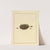 Icons fungorum circa Halifax sponte Nascentium Pl.179 (1784-1792) by James Bolton