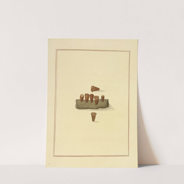 Icons fungorum circa Halifax sponte Nascentium Pl.181 (1784-1792) by James Bolton