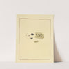 Icons fungorum circa Halifax sponte Nascentium Pl.185 (1784-1792) by James Bolton