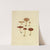 Icons fungorum circa Halifax sponte Nascentium Pl.206 by James Bolton