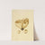 Icons fungorum circa Halifax sponte Nascentium Pl.224 by James Bolton