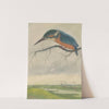 IJsvogel op een tak in een weidelandschap by Frans Everbag