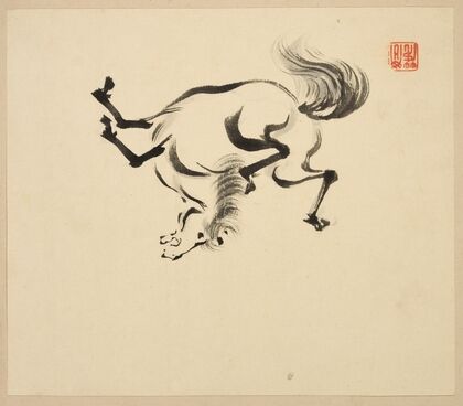 Illustrated book of horses Pl.09 (18th Century)