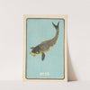 Illustrated Catalogue of Daylight Bomb Shells No. 25 by Jinta Hirayama