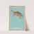 Illustrated Catalogue of Daylight Bomb Shells No. 37 by Jinta Hirayama