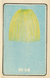 Illustrated Catalogue of Daylight Bomb Shells No. 49