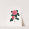 Illustrations and descriptions of the plants which compose the natural order Camellieae Pl.28 by Alfred Chandler