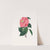 Illustrations and descriptions of the plants which compose the natural order Camellieae Pl.38 by Alfred Chandler