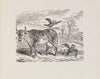 Illustrations for The Universal songster Pl.11