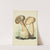 Illustrations of British mycology Pl.14 by Anna Maria Hussey