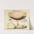 Illustrations of British mycology Pl.77 by Anna Maria Hussey