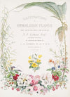 Illustrations of Himalayan plants…, [Title page] (1855)