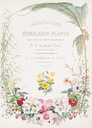 Illustrations of Himalayan plants…, [Title page] (1855)