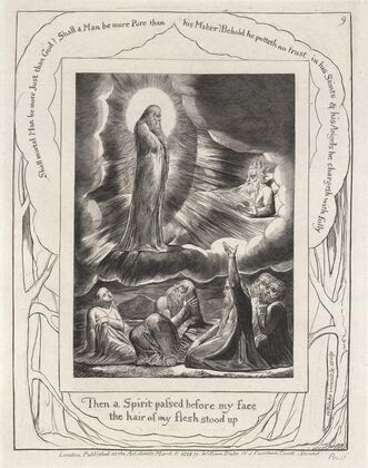 Illustrations of the book of Job Pl.10
