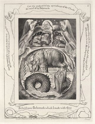Illustrations of the book of Job Pl.16