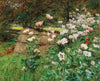 Im Bauerngarten