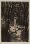 Im Walde (1883)