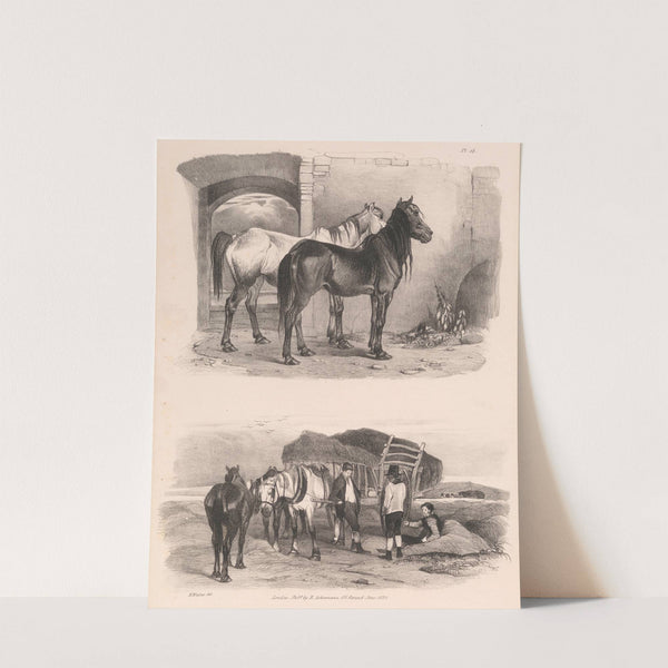 Images of Livestock, Plate 14 (1824) by Henry Walter