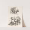 Images of Livestock, Plate 3 (1824) by Henry Walter