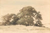 In de duinen bij Wassenaar