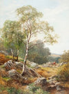 In Glen Falloch