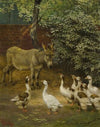 In The Farmyard