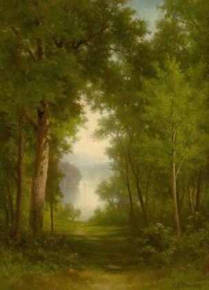 In the Forest