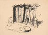In the forest