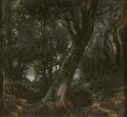 In the Forest