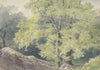 In the forest near Falkenstein